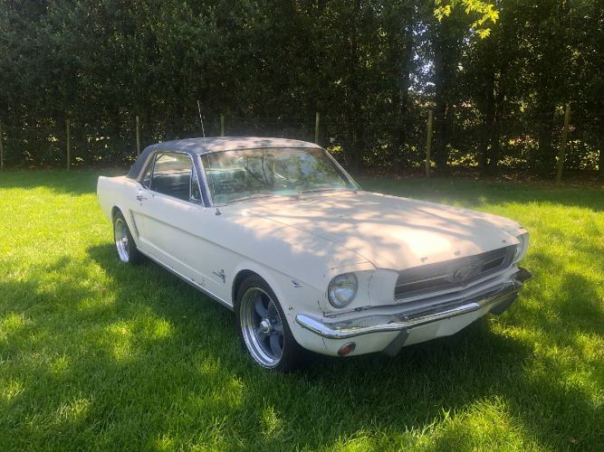 Unknown-Mustang-1965-White-16
