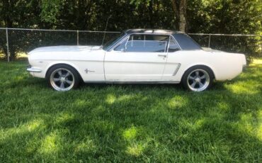 Unknown-Mustang-1965-White-17
