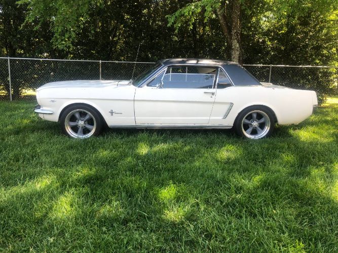 Unknown-Mustang-1965-White-17