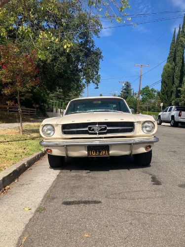 Unknown-Mustang-1965-White-19