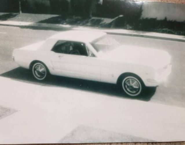 Unknown-Mustang-1965-White-2