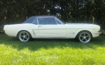 Unknown-Mustang-1965-White-2