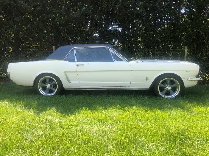 Unknown-Mustang-1965-White-2