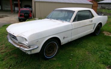 Unknown-Mustang-1965-White-20