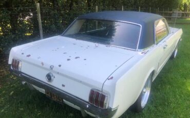 Unknown-Mustang-1965-White-20