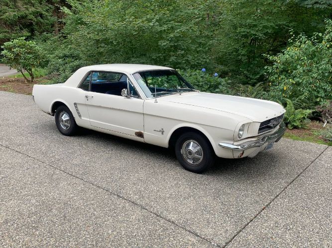 Unknown-Mustang-1965-White-21