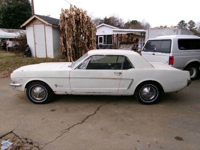 Unknown-Mustang-1965-White-3