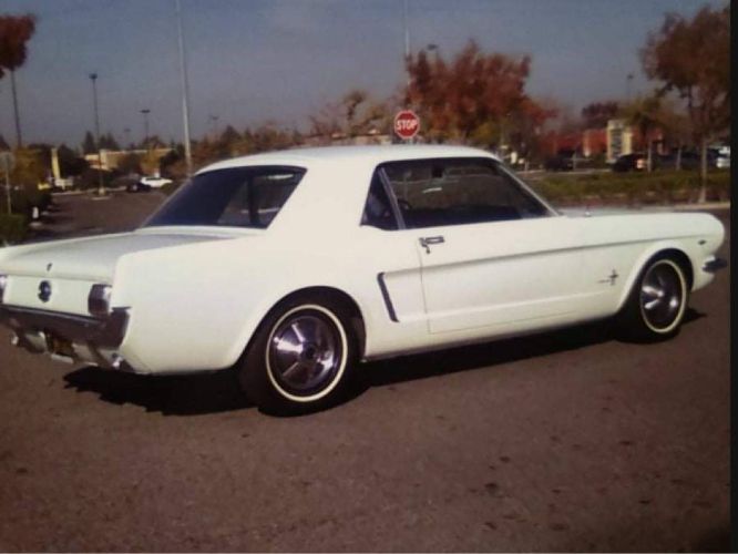 Unknown-Mustang-1965-White-3