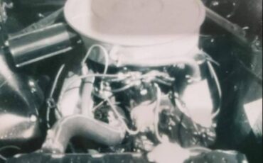 Unknown-Mustang-1965-White-4