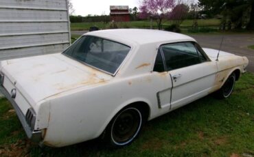 Unknown-Mustang-1965-White-5
