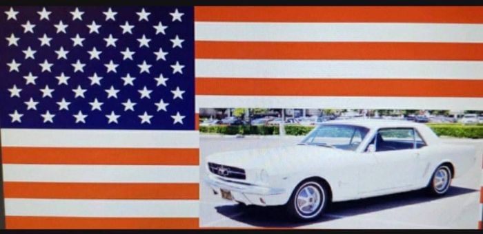 Unknown-Mustang-1965-White-5