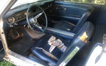 Unknown-Mustang-1965-White-5