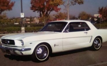Unknown-Mustang-1965-White-7