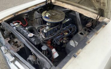 Unknown-Mustang-1965-White-8