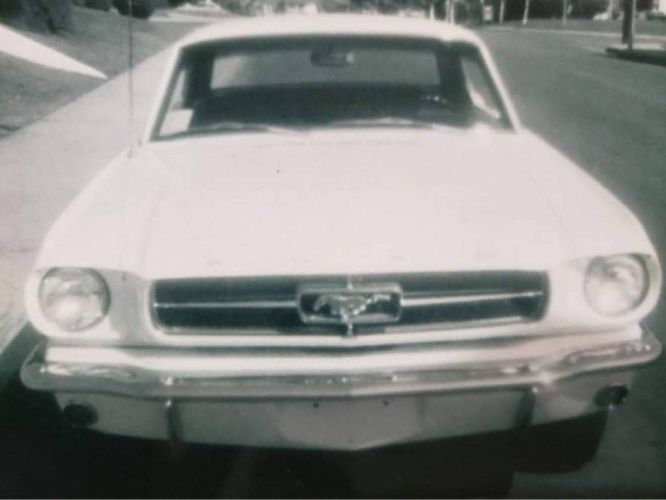 Unknown-Mustang-1965-White-9