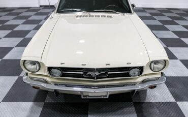 Unknown-Mustang-1965-White-BLACK-2