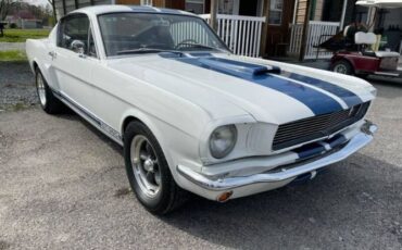 Unknown-Mustang-1965-White-Black-11