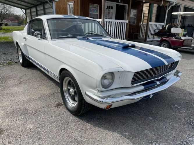 Unknown-Mustang-1965-White-Black-11