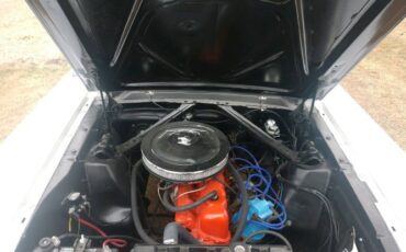Unknown-Mustang-1965-White-Black-2