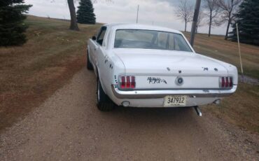 Unknown-Mustang-1965-White-Black-3