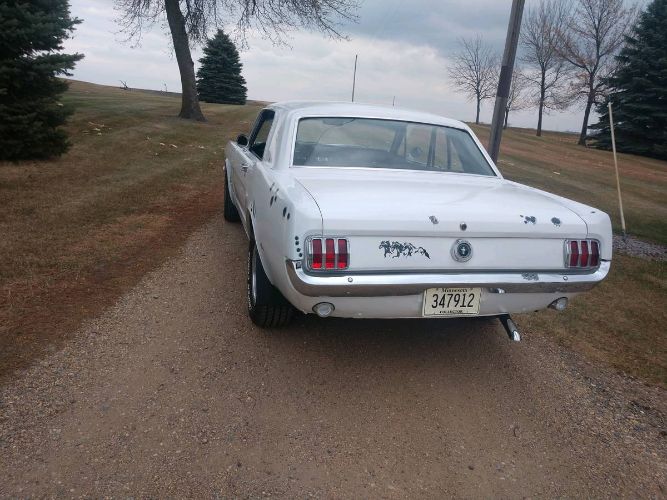 Unknown-Mustang-1965-White-Black-3
