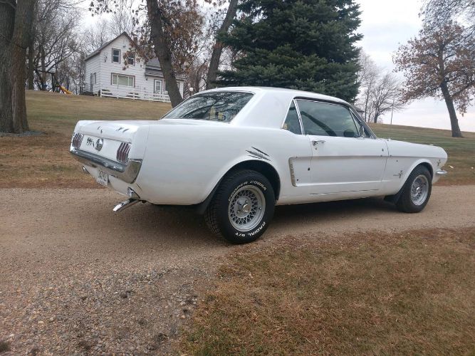 Unknown-Mustang-1965-White-Black-4