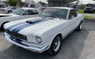 Unknown-Mustang-1965-White-Black-5