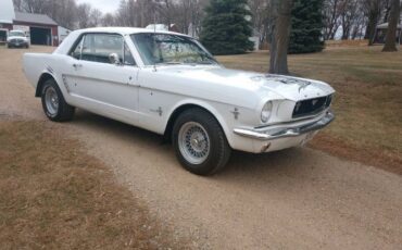 Unknown-Mustang-1965-White-Black-5