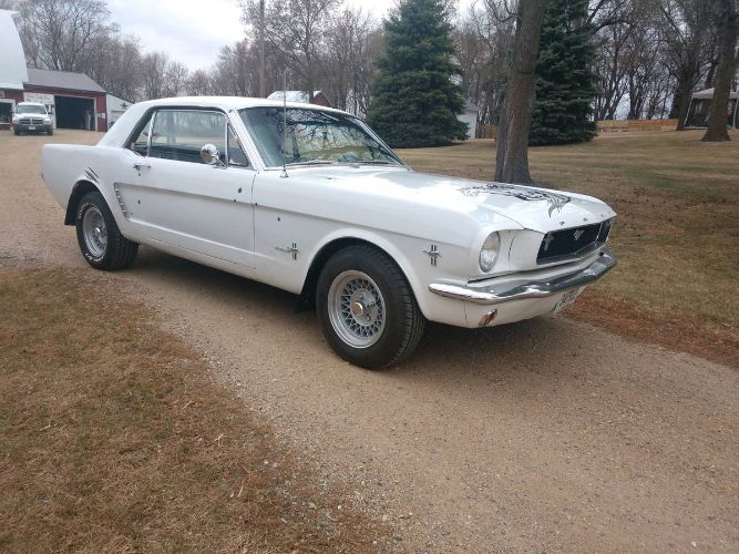 Unknown-Mustang-1965-White-Black-5