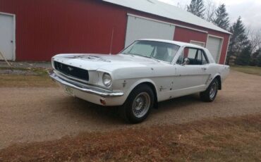 Unknown-Mustang-1965-White-Black-6