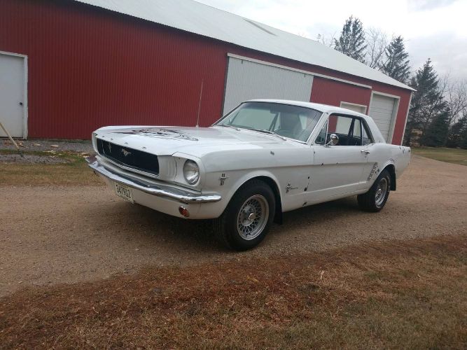 Unknown-Mustang-1965-White-Black-6