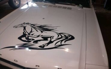 Unknown-Mustang-1965-White-Black-7