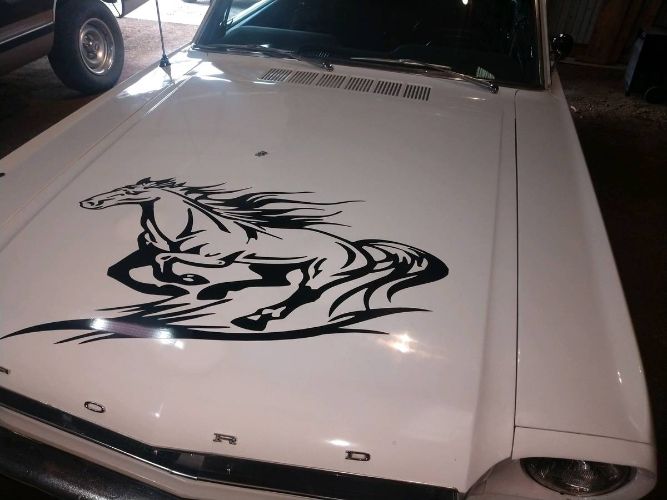 Unknown-Mustang-1965-White-Black-7