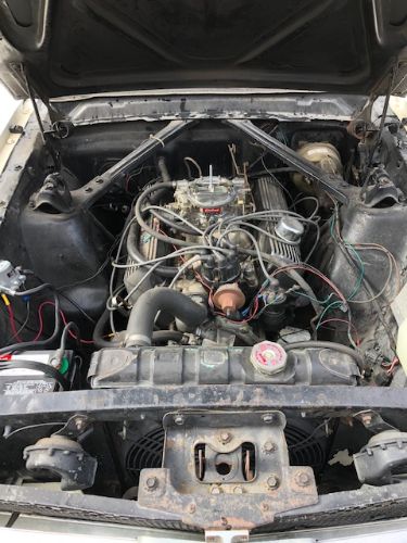 Unknown-Mustang-1965-White-Blue-14
