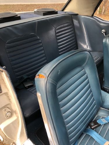 Unknown-Mustang-1965-White-Blue-23
