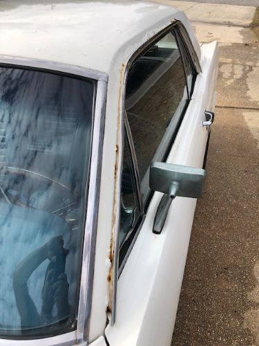 Unknown-Mustang-1965-White-Blue-28