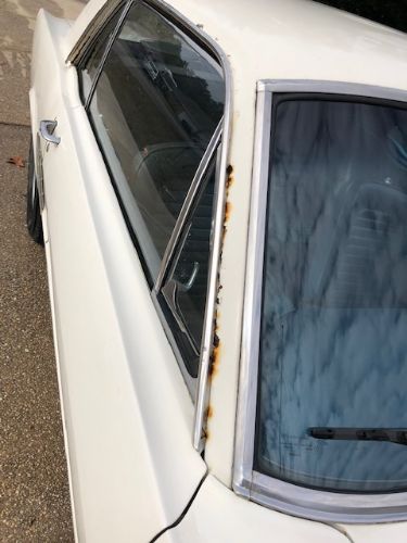 Unknown-Mustang-1965-White-Blue-29