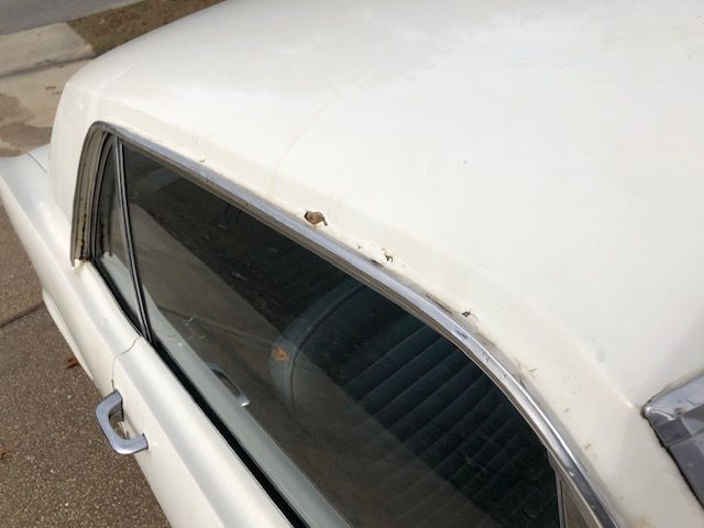 Unknown-Mustang-1965-White-Blue-31