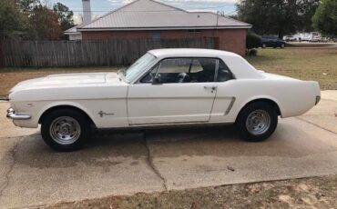 Unknown-Mustang-1965-White-Blue-33