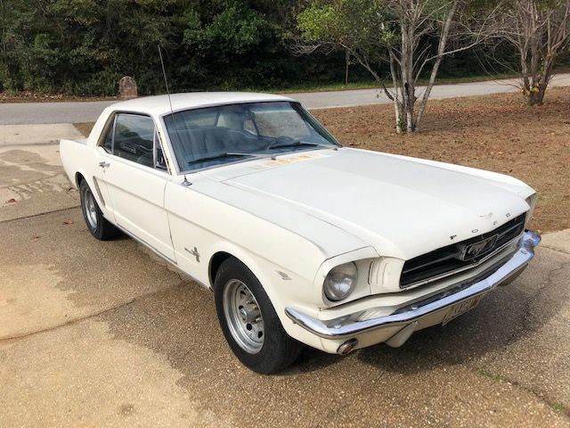 Unknown-Mustang-1965-White-Blue-34