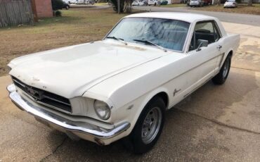 Unknown-Mustang-1965-White-Blue