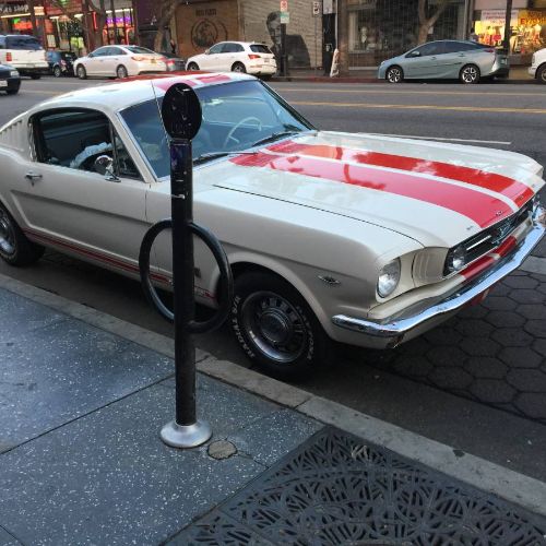 Unknown-Mustang-1965-Wimbledon-White-17