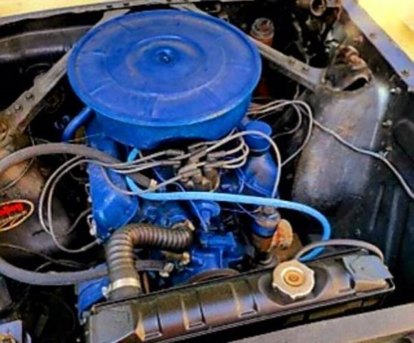 Unknown-Mustang-1965-Yellow-Black-1