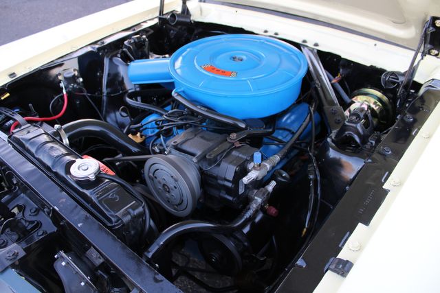 Unknown-Mustang-1965-Yellow-Black-10