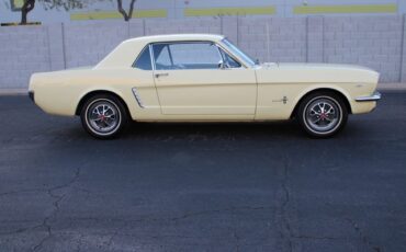 Unknown-Mustang-1965-Yellow-Black