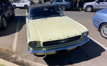 Unknown-Mustang-1965-Yellow-Black-2