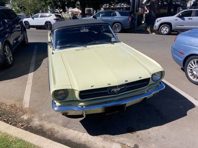 Unknown-Mustang-1965-Yellow-Black-2