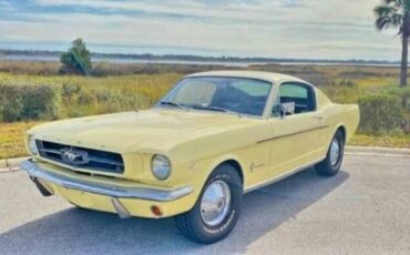 Unknown-Mustang-1965-Yellow-Black-2