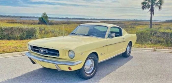 Unknown-Mustang-1965-Yellow-Black-2
