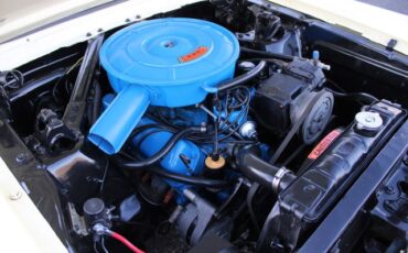 Unknown-Mustang-1965-Yellow-Black-21